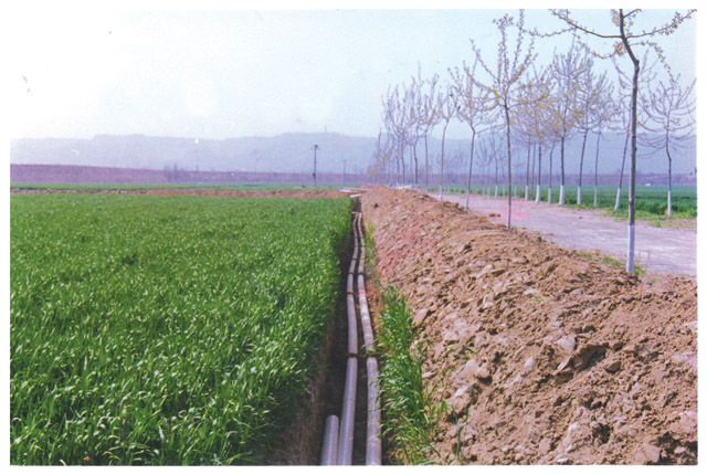 工程案例 工程案例